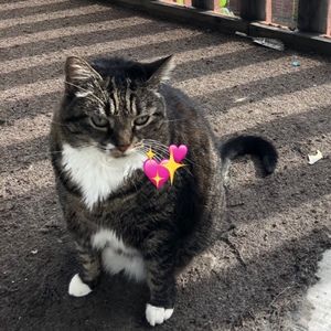 Meet your Posher, Barbara